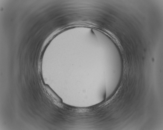 X0000081601188200702121541