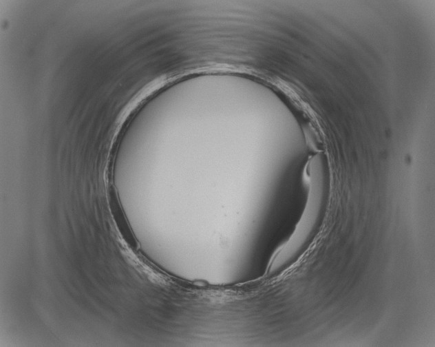 X0000081601189200702121541