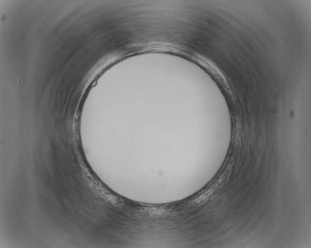 X0000081601190200702121541