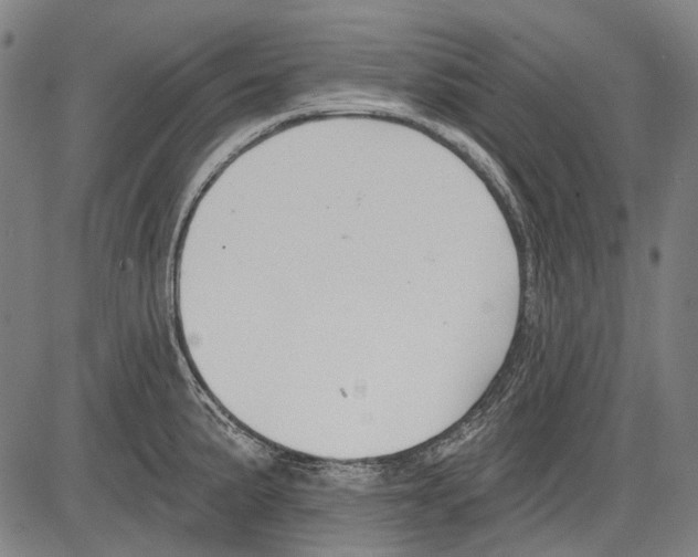 X0000081601191200702121541