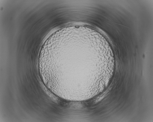 X0000081601194200702121541