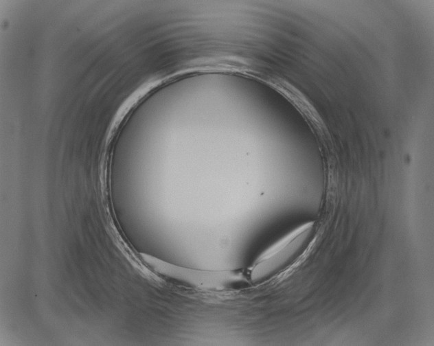 X0000081601196200702121541