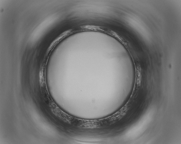 X0000081601198200702121541