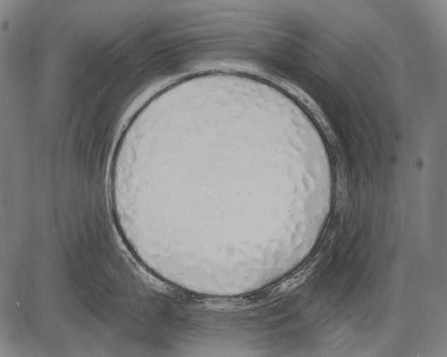 X0000081601199200702121541