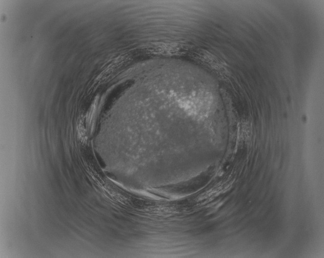 X0000081601202200702121540