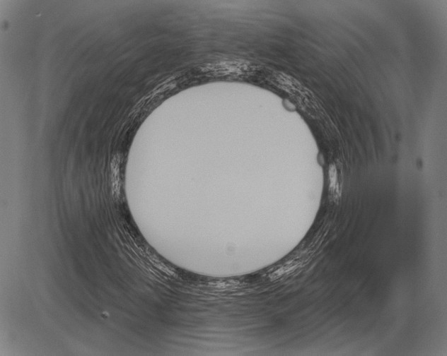 X0000081601203200702121540