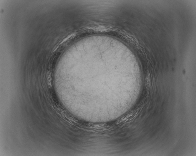 X0000081601205200702121540