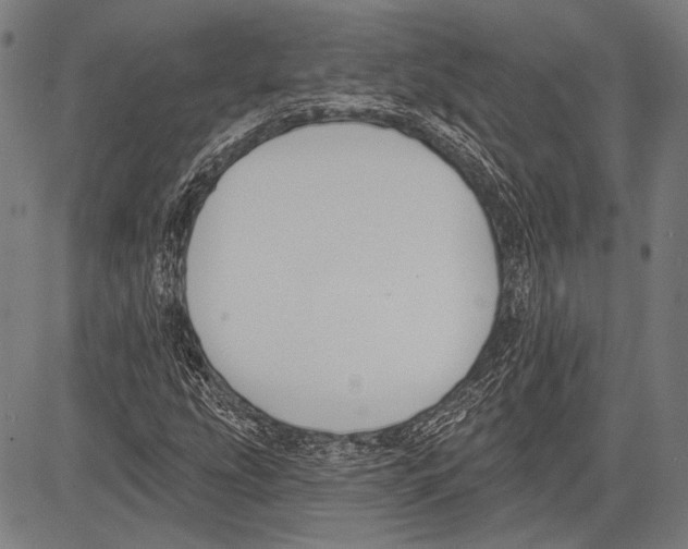 X0000081601207200702121540