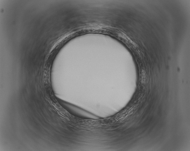 X0000081601208200702121540