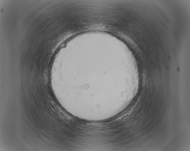 X0000081601212200702121540