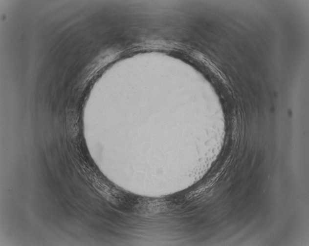 X0000081601213200702121540