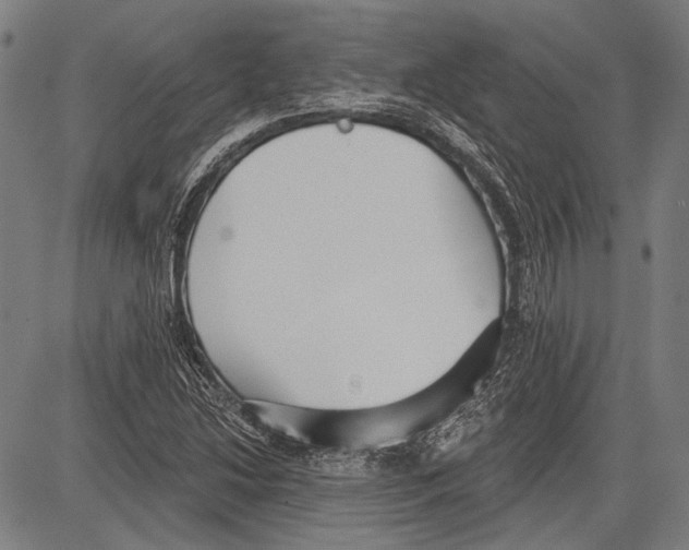 X0000081601214200702121540