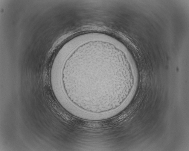 X0000081601215200702121540