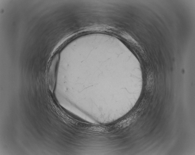 X0000081601216200702121541