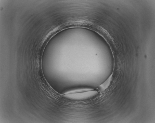 X0000081601218200702121541