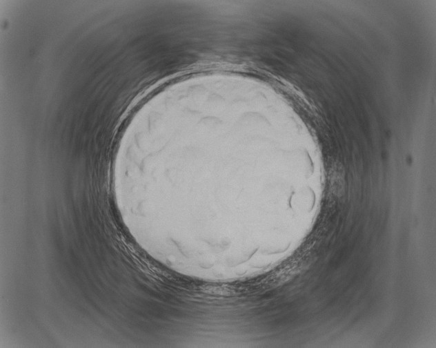 X0000081601220200702121541