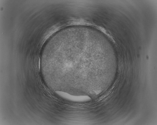 X0000081601221200702121541