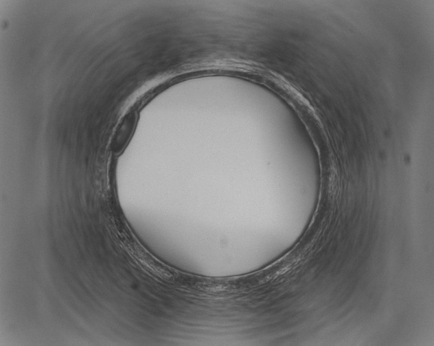 X0000081601222200702121541