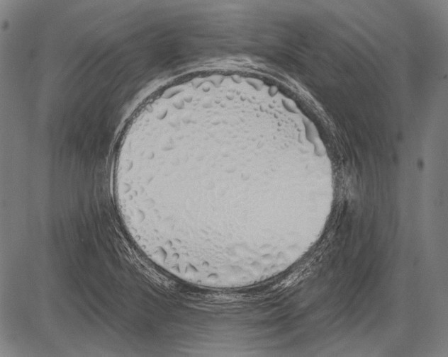 X0000081601224200702121541