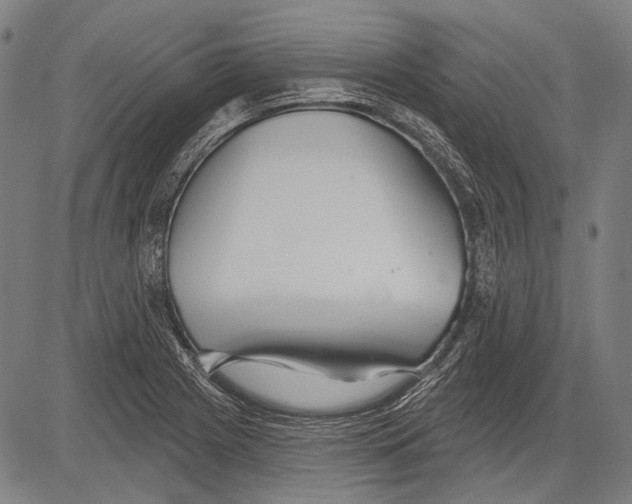 X0000081601225200702121541