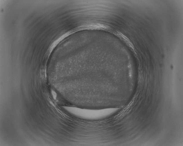 X0000081601226200702121541