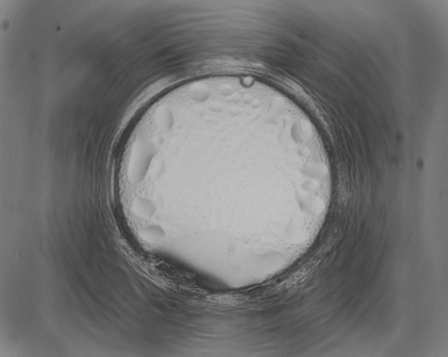 X0000081601227200702121541