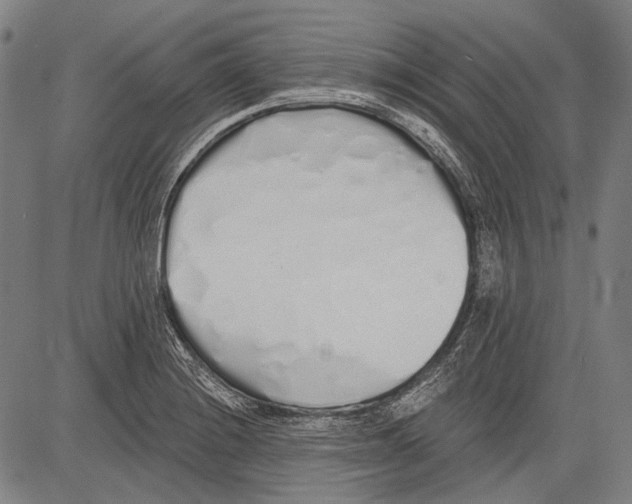 X0000081601228200702121541