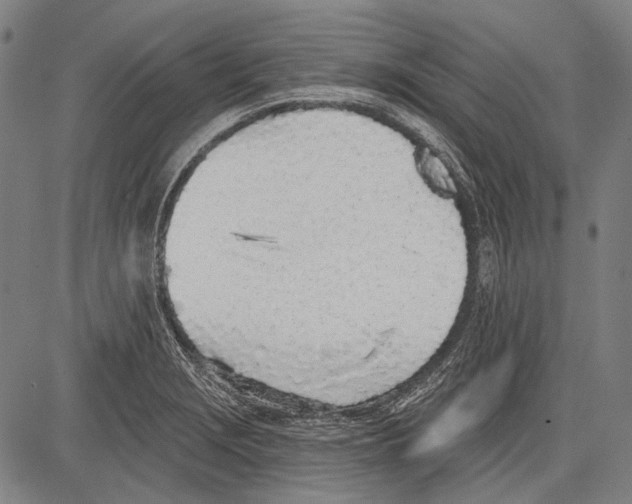 X0000081601229200702121541