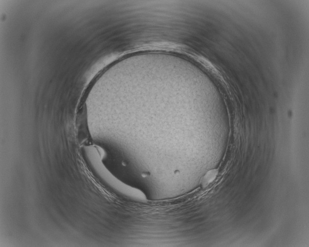 X0000081601230200702121541