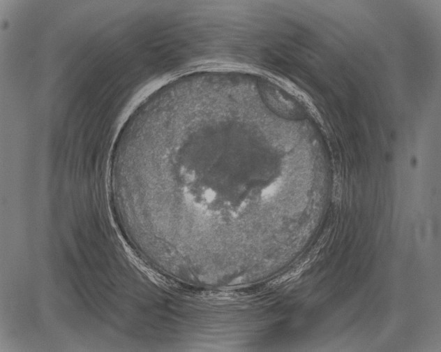 X0000081601231200702121541