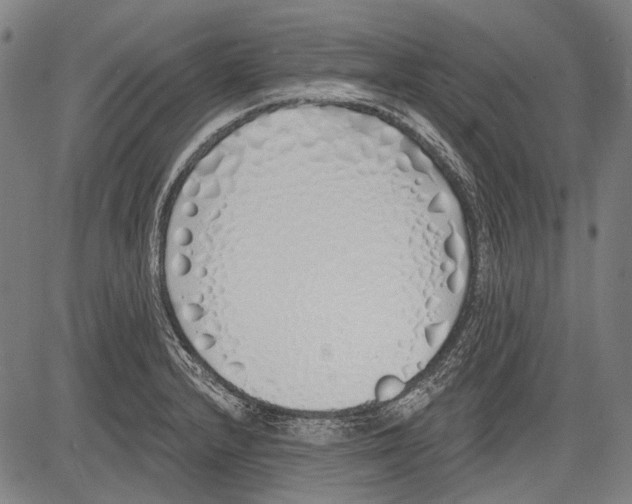 X0000081601232200702121541