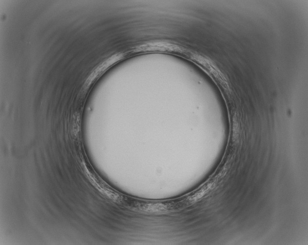 X0000081601233200702121541