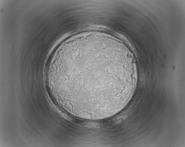 X0000081601235200702121541