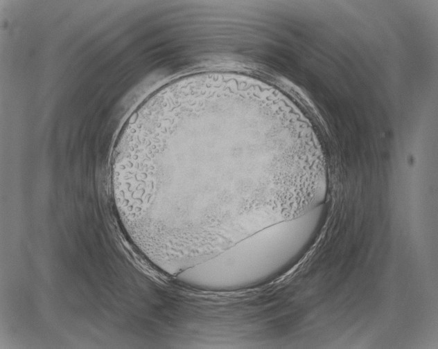 X0000081601236200702121541