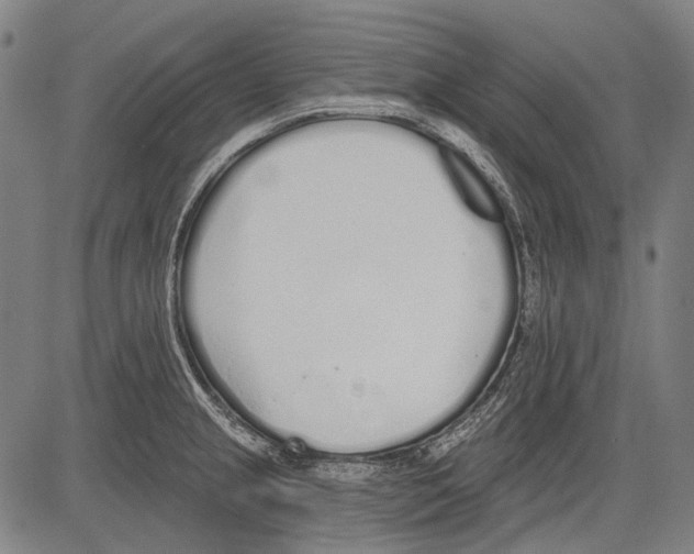 X0000081601237200702121541