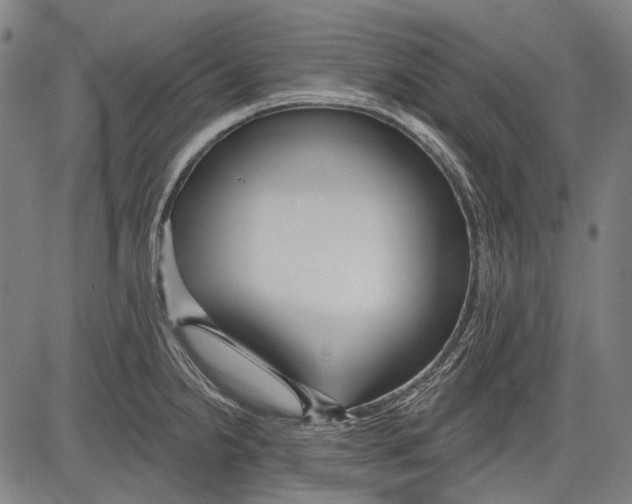 X0000081601238200702121541