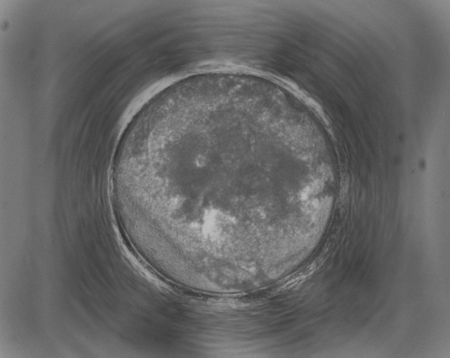 X0000081601239200702121541