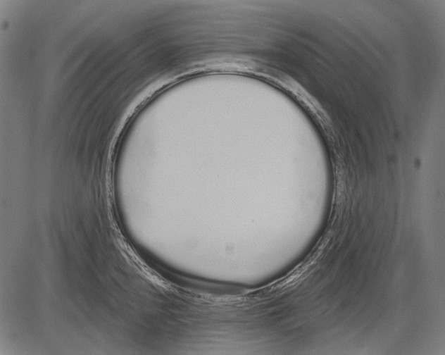 X0000081601240200702121541