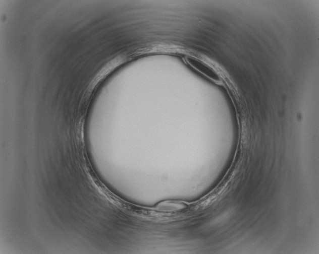 X0000081601241200702121541