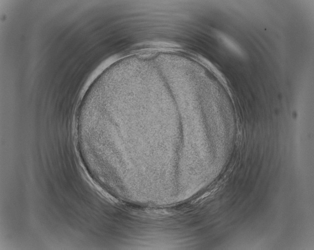 X0000081601243200702121541