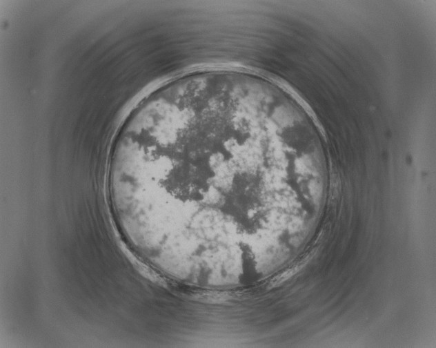 X0000081601245200702121541