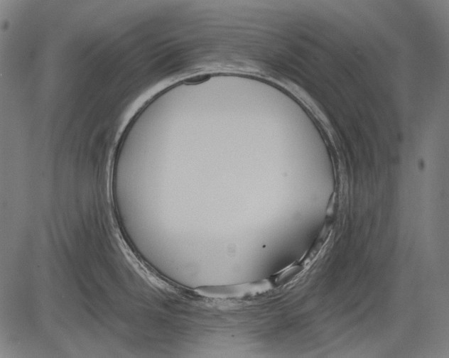 X0000081601246200702121541