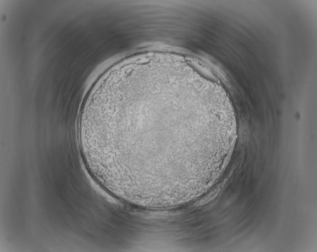 X0000081601247200702121541