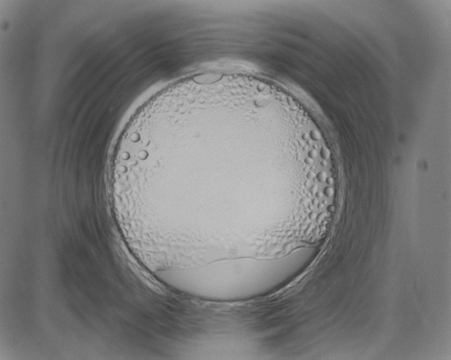 X0000081601248200702121541