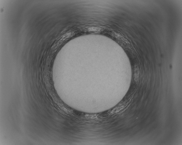 X0000081601249200702121540