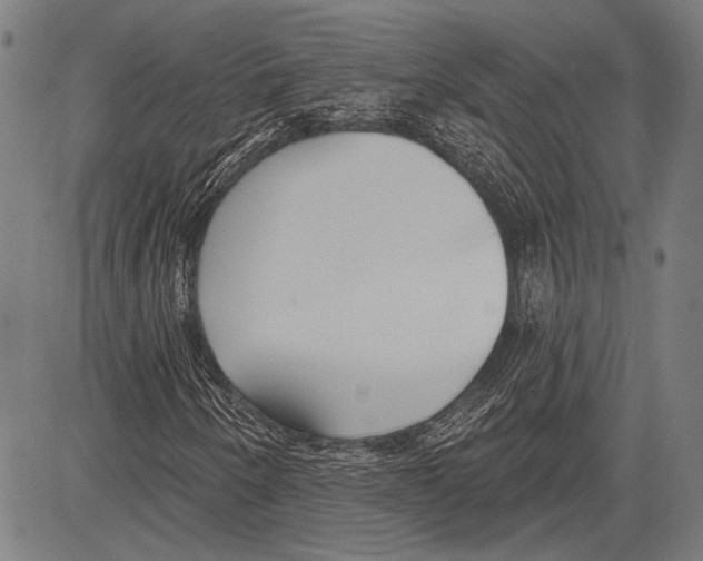 X0000081601250200702121540