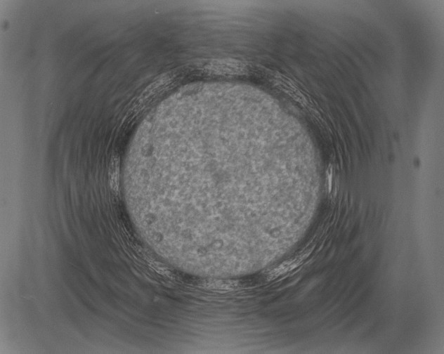 X0000081601251200702121540