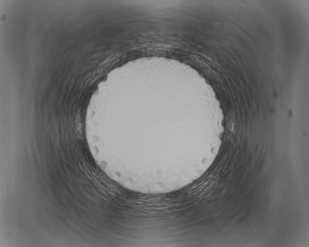 X0000081601252200702121540