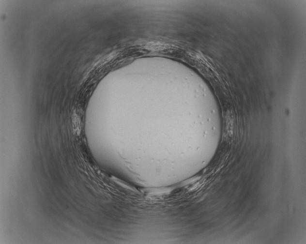 X0000081601253200702121540