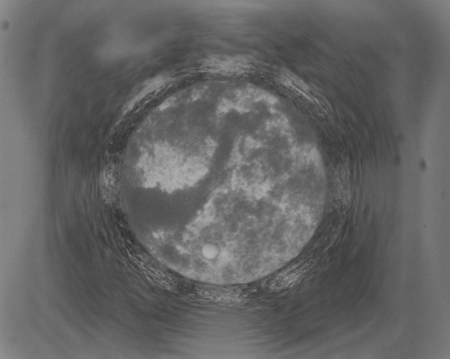 X0000081601254200702121540